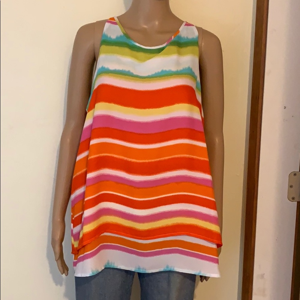 Zac & Rachel Multicolored Top
